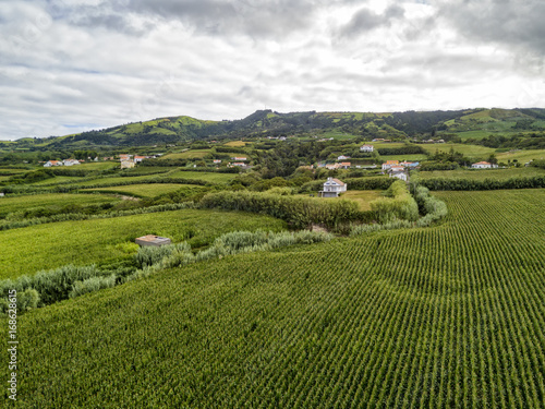 Aerial view of Cornfields outside of the town of Ginetes on Sao Miguel Island in Portugal.