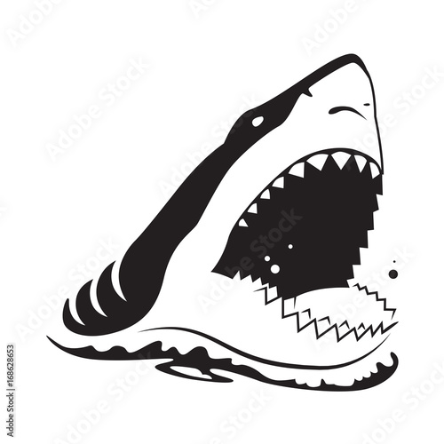 graphic shark on white background, vector