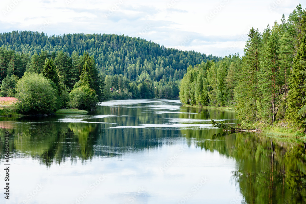 Calm river flowing gently through woodland landscape. Location River Lagen in Norway.