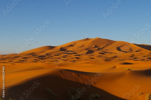 Dune désert merzouga Maroc 