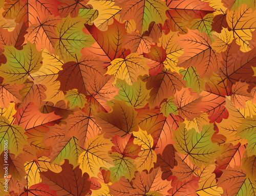 Autumn seamless wallpaper  vector illustration