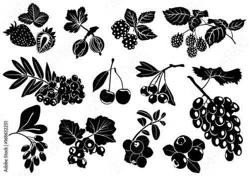 Silhouettes of berries with leaves on white background. Set. Vector.