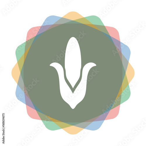App Icon farbig Mais
