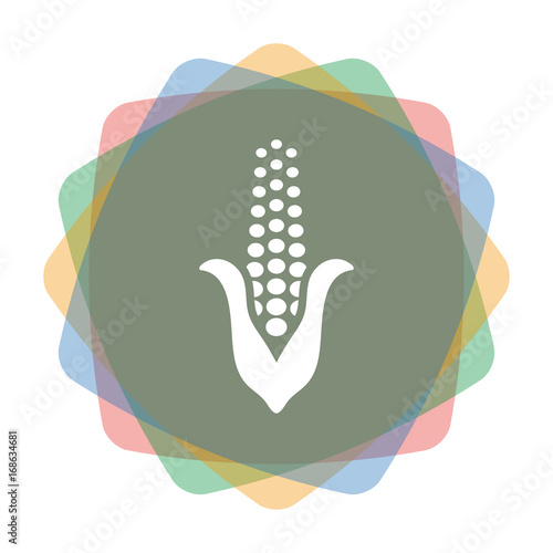 App Icon farbig Maiskolben