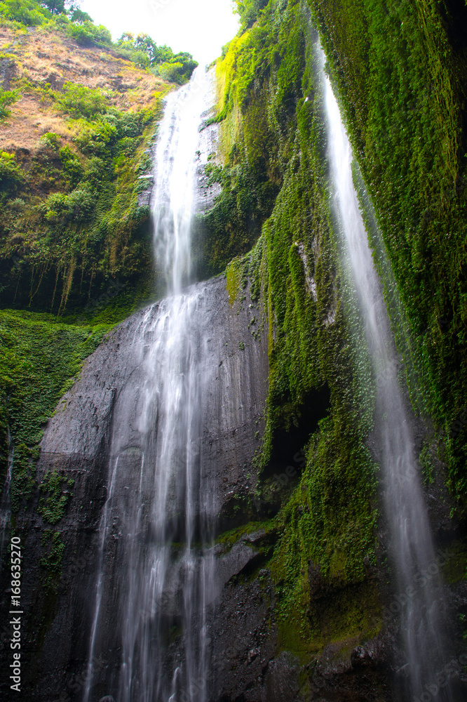 Fototapeta premium Madakaripura Waterfall is the tallest waterfall in Java and the second tallest waterfall in Indonesia. 