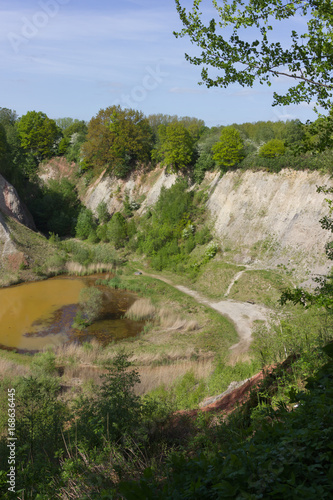 Liether Kalkgrube  Geotop  Naturschutzgebiet