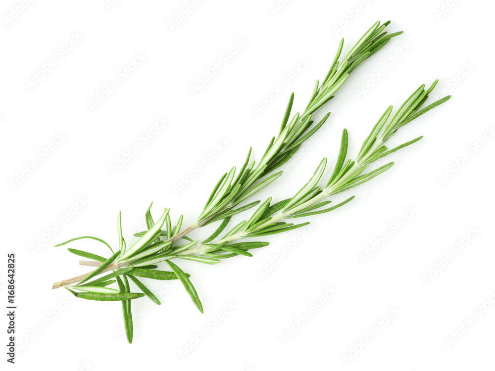 Fresh rosemary on white background Fresh rosemary on white background