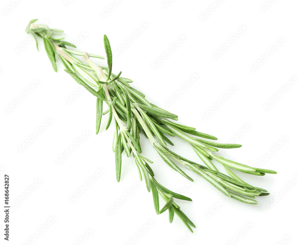 Fototapeta premium Świeży rozmaryn na białym tle