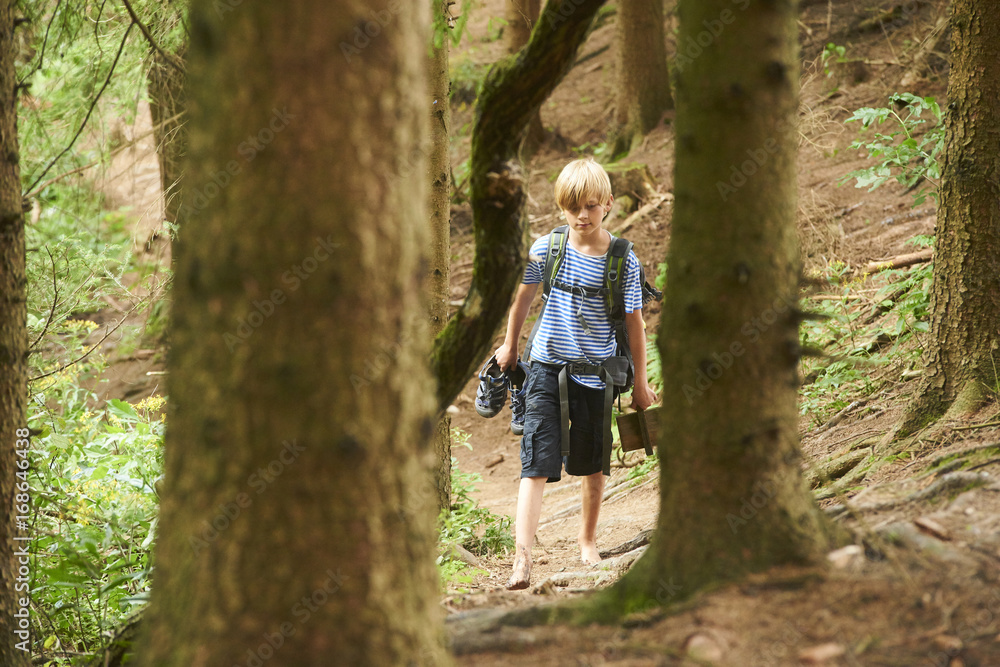 Young child boy walking during the hiking activities in forest. Outdoors leisure for child in summer Young child boy walking during the hiking activities in forest. Outdoors leisure for child in summer