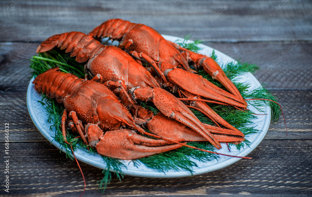 Boiled red crawfish on a white plate with green fennel on a wooden background. Tasty red steamed rawfish closeup on wood table, seafood dinner, nobody. Copy space for your text. Boiled red crawfish on a white plate with green fennel on a wooden background. Tasty red steamed rawfish closeup on wood table, seafood dinner, nobody. Copy space for your text.