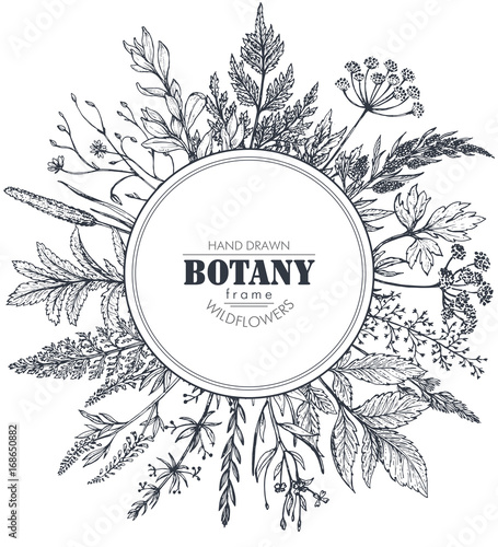 Vector circle frame with herb and wildflower elements
