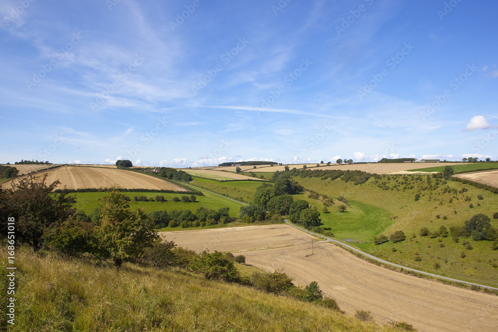 agricultural valley