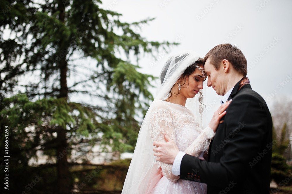 Newlyweds walking, enjoying each other's company and posing in the park on their wedding day. Newlyweds walking, enjoying each other's company and posing in the park on their wedding day.