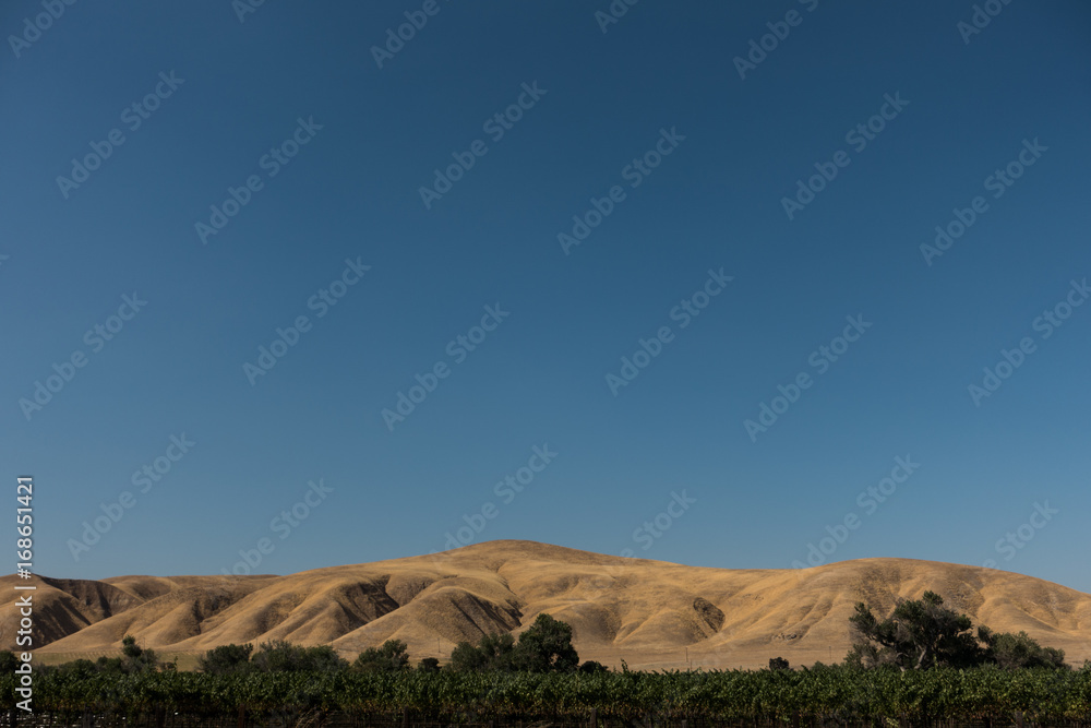 Naklejka premium California countryside