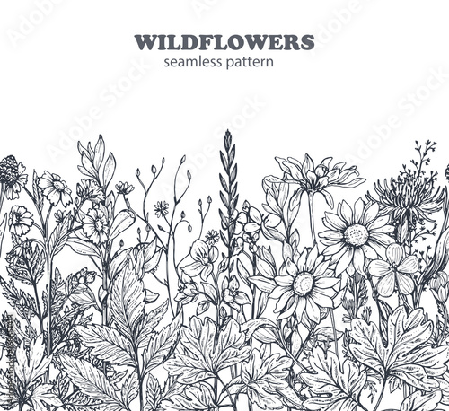 Vector seamless pattern with hand drawn herbs and flowers