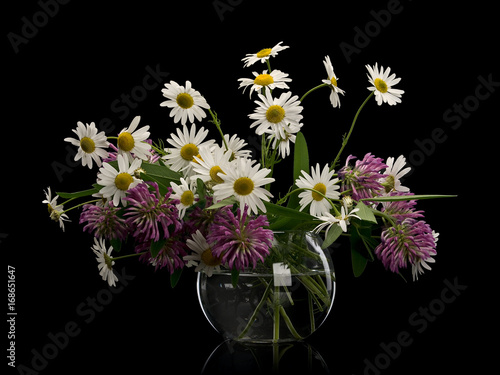 Wallpaper Mural Flowers of clover and chamomile in glass vase Torontodigital.ca