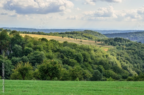 Summer hills landscape. Beautiful green Jurassic hills in Poland.