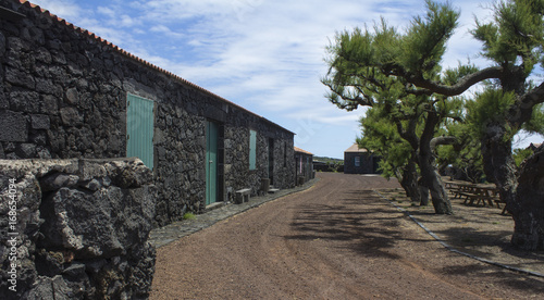 Pico Azores view