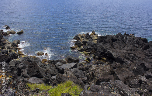 Pico Azores view