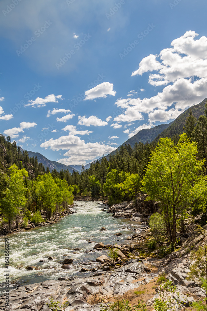 Obraz premium A trip up the Animas Rivera