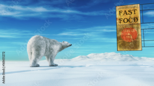 .A polar bear