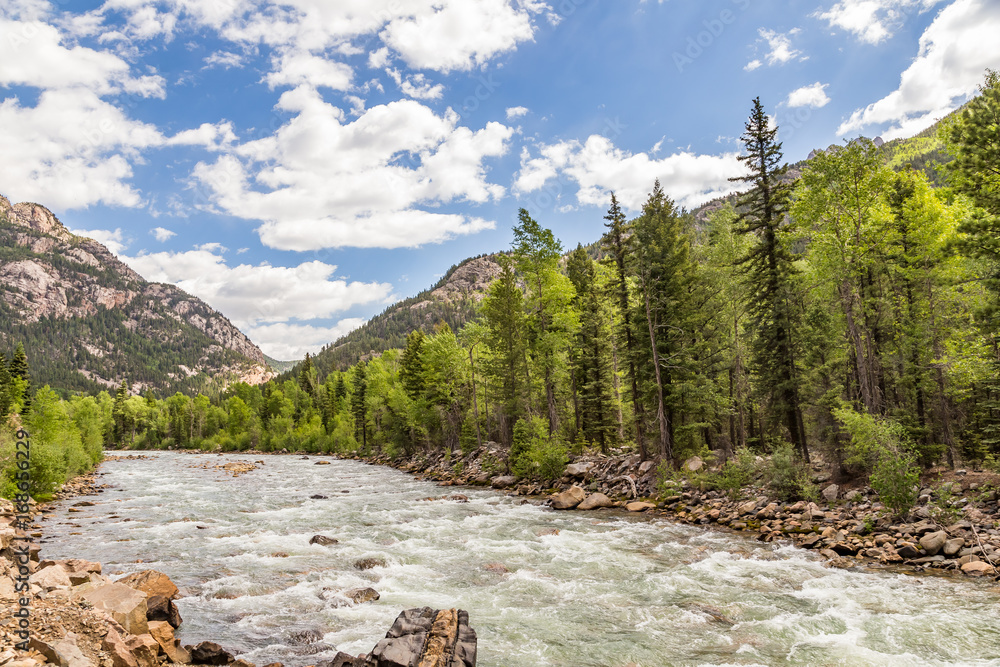 Obraz premium A trip up the Animas River