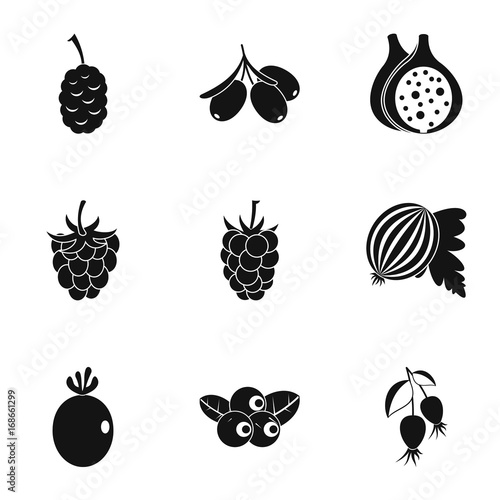 Eco berries icon set, simple style