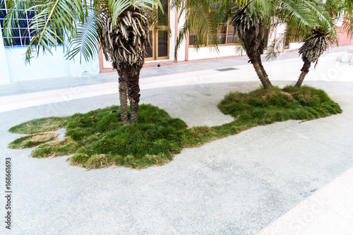 Foto Decoration of the pedestrain zone in Las Tunas, Cuba
