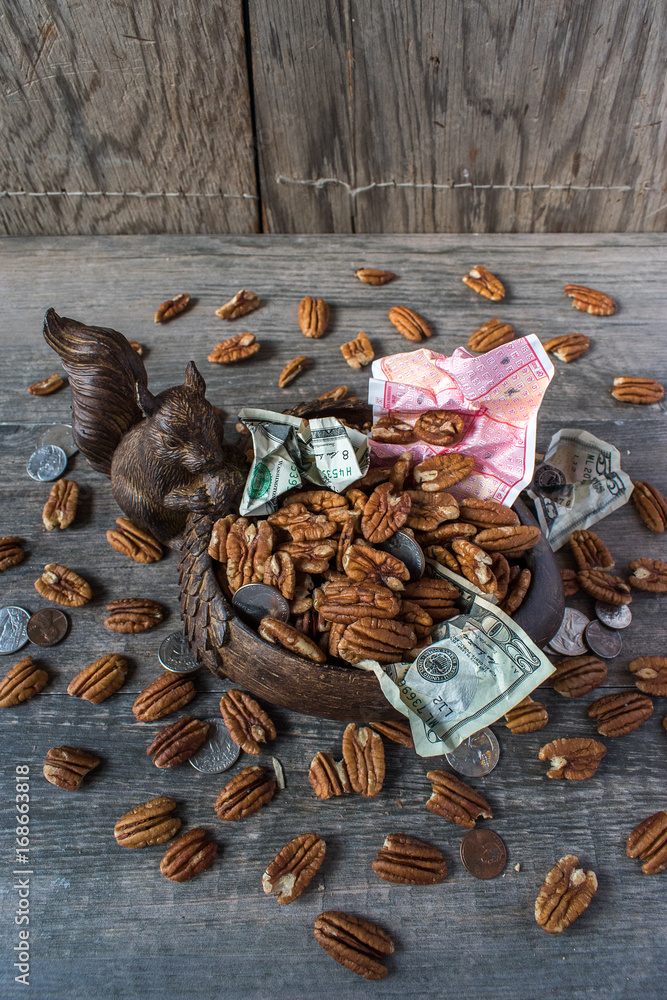 squirrel saving nuts and money for the future Stock Photo | Adobe Stock