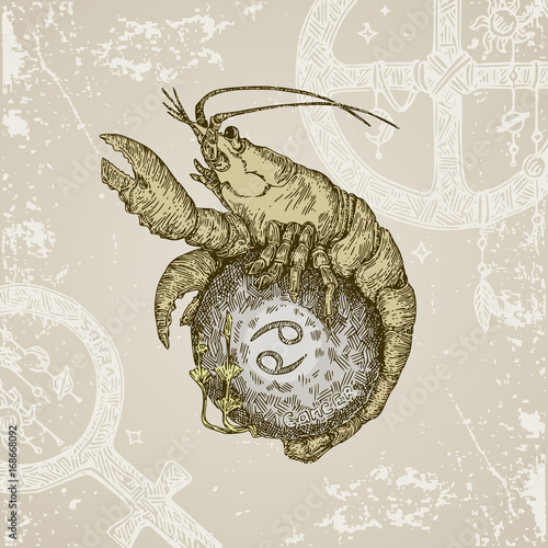 Vintage sign of zodiac. Cancer. Color. Vector illustration.
