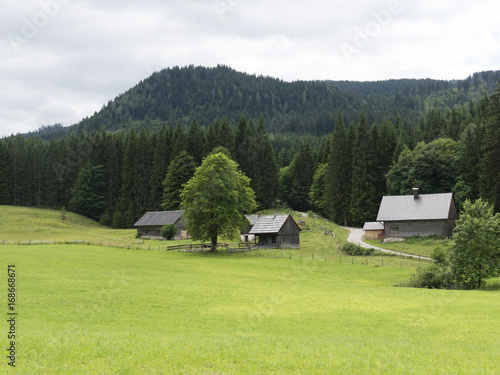 Alpine mountain medieval village. Wooden timbered cottages. Tourist open-air museum, travel destination for holidays. Mountain scenery near Salzburg. Hills in background, grassy pasture in foreground. © weenee