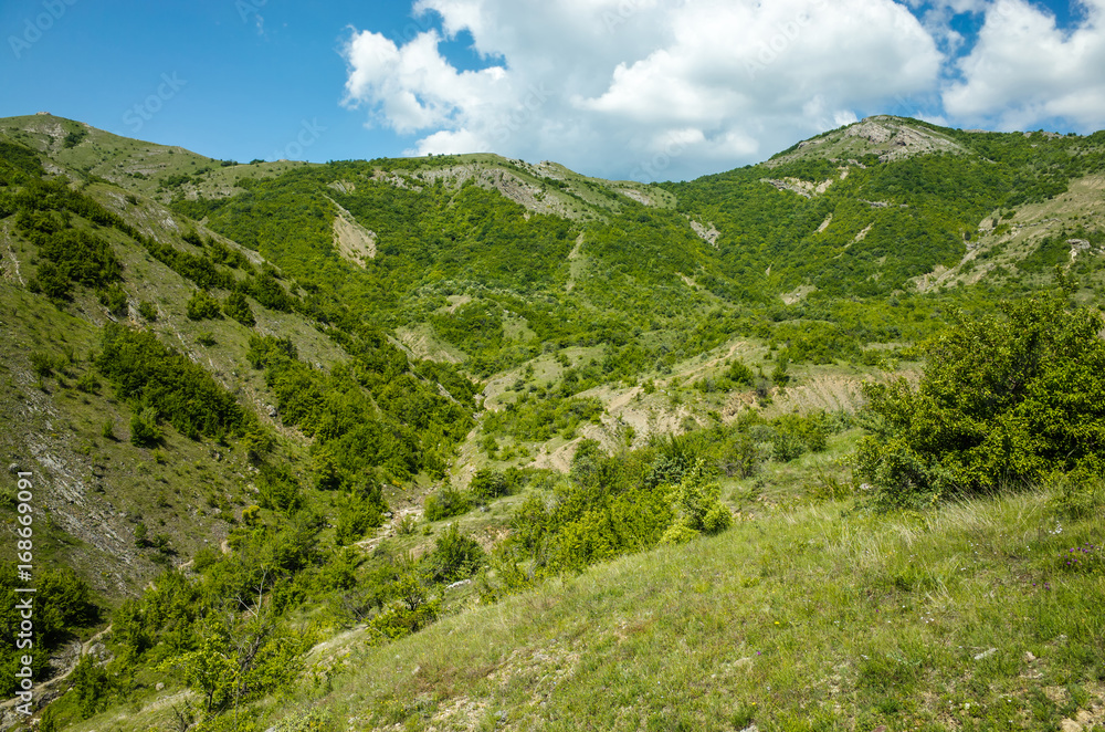 Walking in the mountains in spring