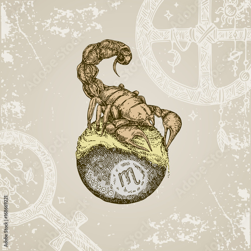Vintage sign of zodiac. Scorpio. Color. Vector illustration.