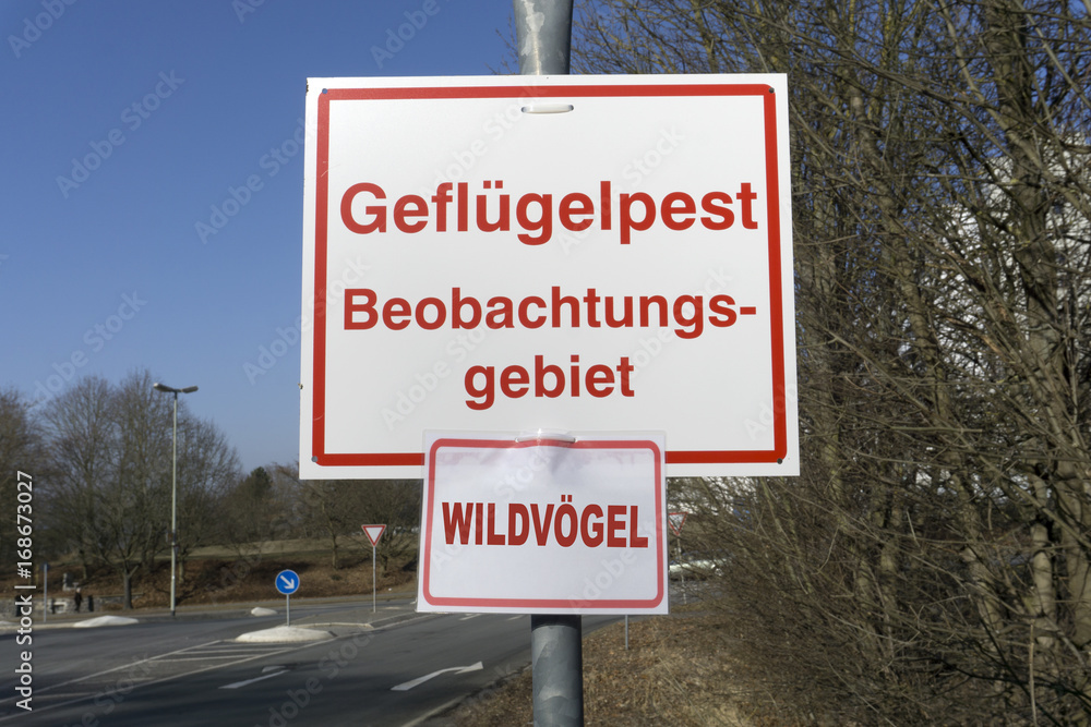 Gefluegelpest