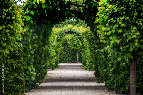 Green garden arches and path. Landscape gardening design in Rundale palace, Latvia