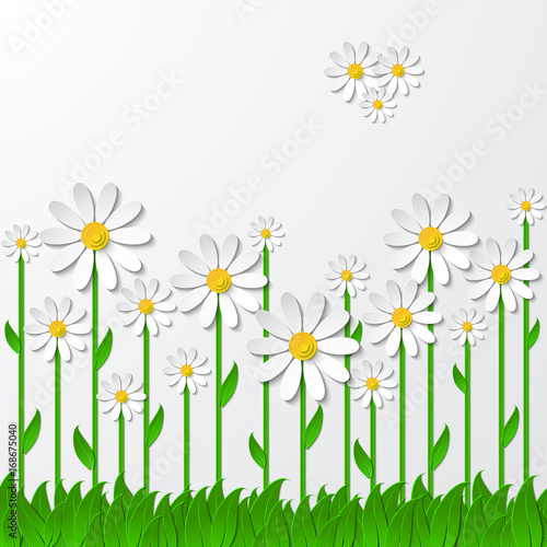 Floral background with 3d chamomiles on the grass cutting paper isolated on white. Vector illustration