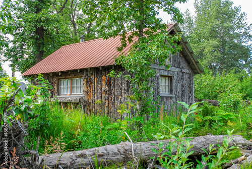 Alaska frontier style cottage constructed of rough cut trees in wilderness surrounded by green vegetation with red tile roof.