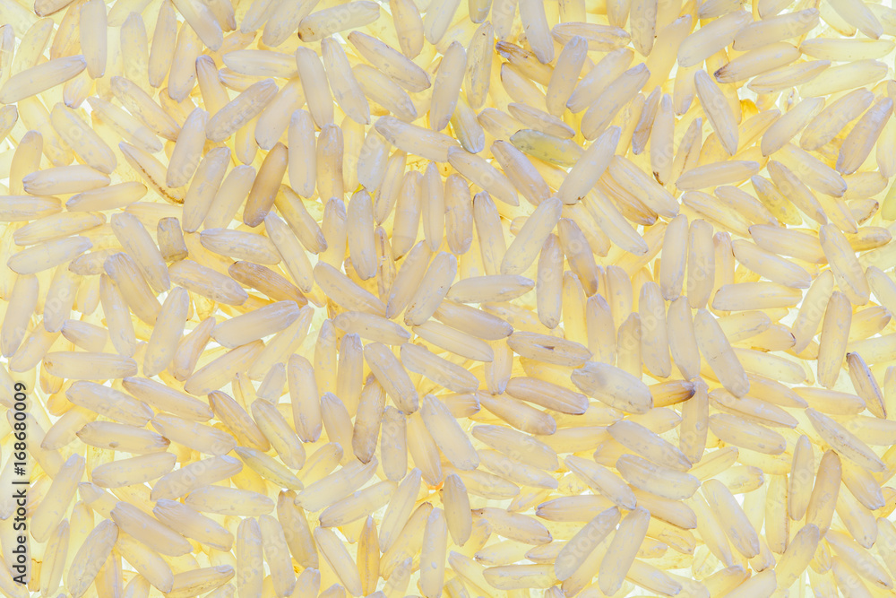 Raw brown rice in backlight - high definition pattern Raw brown rice in backlight - high definition pattern