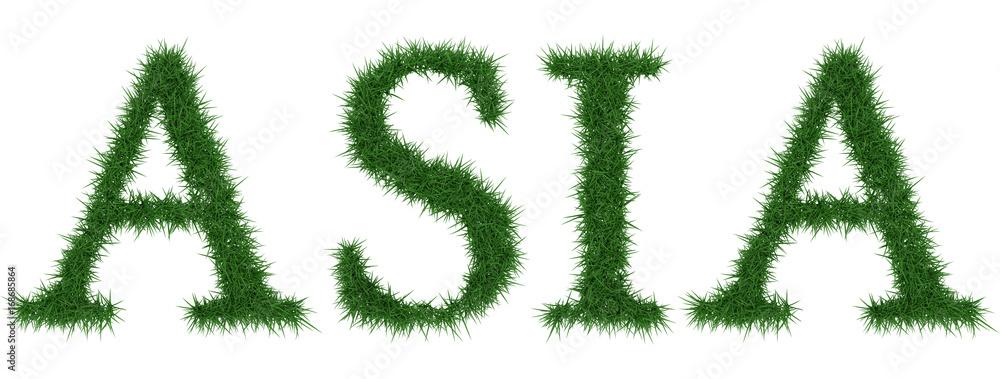 Asia - 3D rendering fresh Grass letters isolated on whhite background. Asia - 3D rendering fresh Grass letters isolated on whhite background.