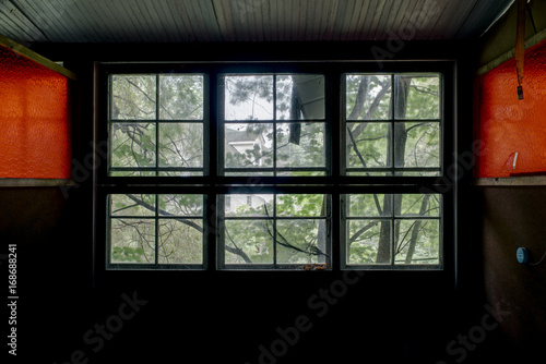 Typical Resort Room Overlooking Lush Forest - Abandoned Resort