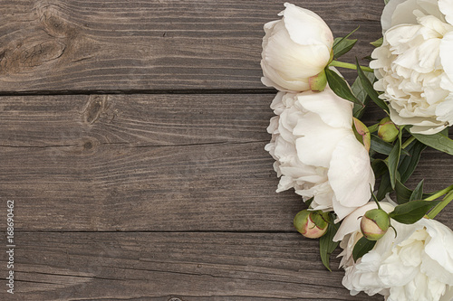 White peony on wooden background