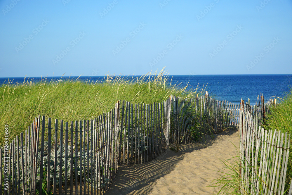 path way on sand beach with fence in the grass
