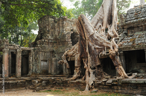 Old Buddhist monastery with large tree roots growing on roof,Cambodia.