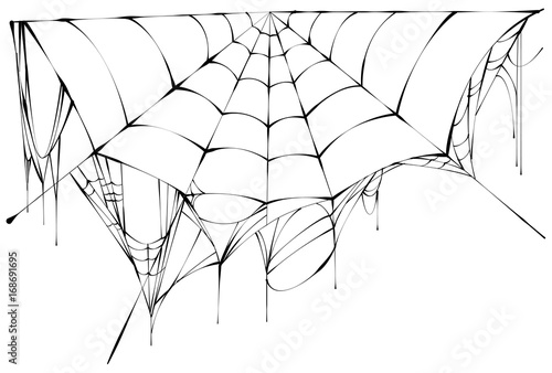 Black spiderweb on white background