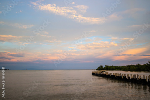 Sea wave protection barrier  breakwater  made from tire  protect mangroove forest and coast