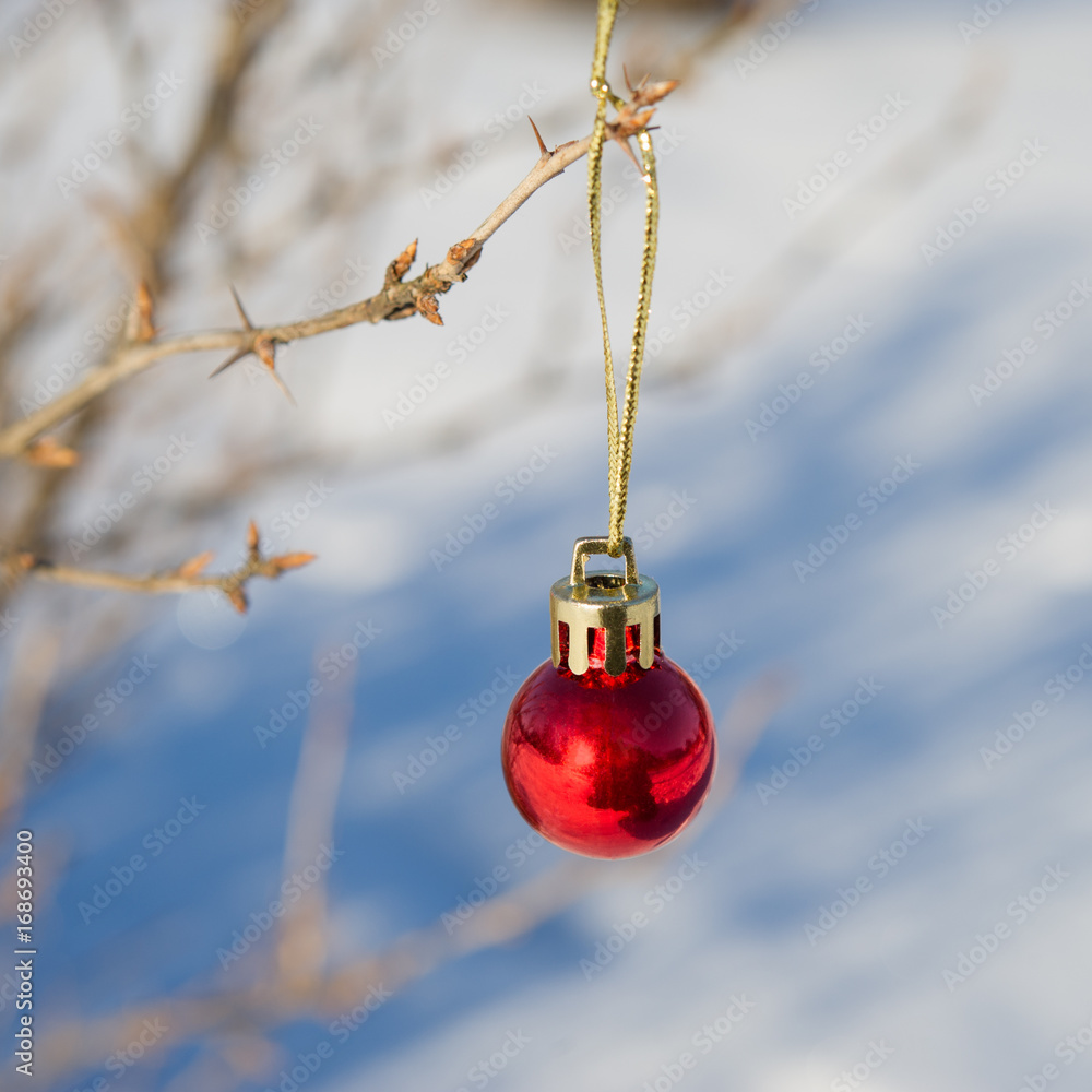 New Year's toy ball hangs on a branch New Year's toy ball hangs on a branch