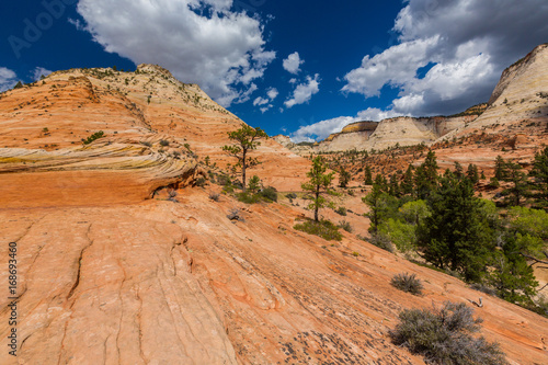 Beautiful, abstract, redstone rock formations in Zion National Park, Utah, in autumn photo