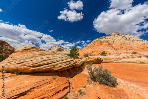 Beautiful, abstract, redstone rock formations in Zion National Park, Utah, in autumn photo