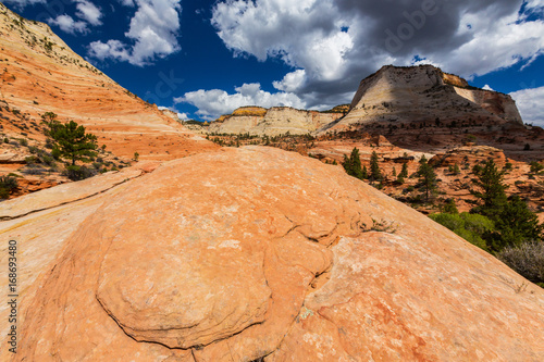 Beautiful, abstract, redstone rock formations in Zion National Park, Utah, in autumn photo