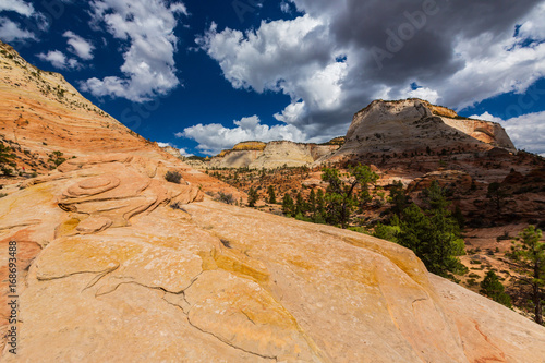 Beautiful, abstract, redstone rock formations in Zion National Park, Utah, in autumn photo